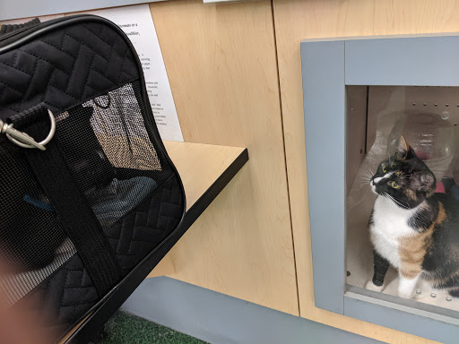 Pet Supply Store «Petco Animal Supplies», reviews and photos, 4491 Kirkwood Hwy, Wilmington, DE 19808, USA