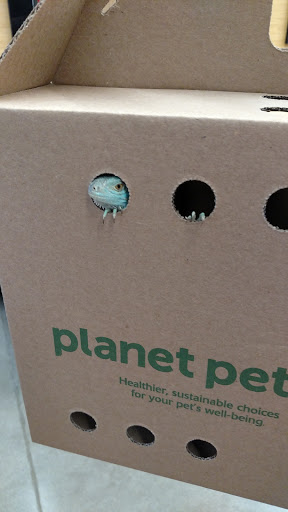 Pet Supply Store «Petco Animal Supplies», reviews and photos, 6720 Fox Centre Pkwy, Gloucester Courthouse, VA 23061, USA