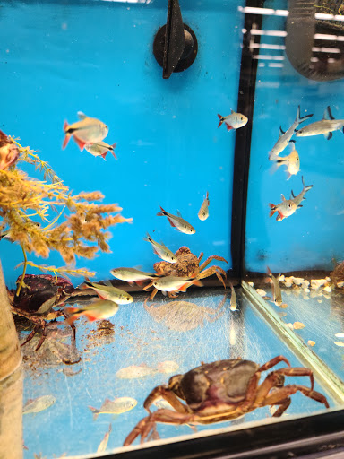 Pet Supply Store «Petco Animal Supplies», reviews and photos, 1 US-46, Totowa, NJ 07512, USA