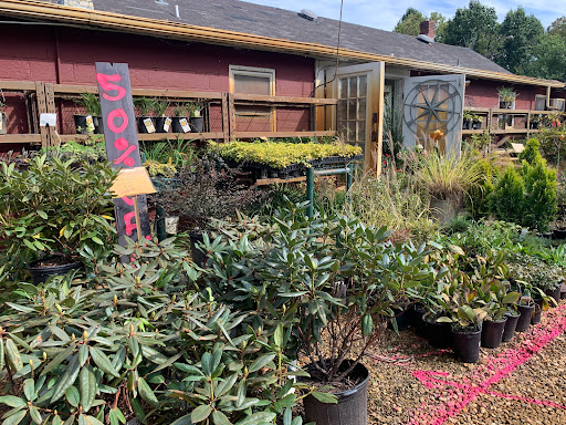 Garden Center «Ivy Corner Garden Center Gift Shop», reviews and photos, 4305 Ivy Rd, Charlottesville, VA 22903, USA