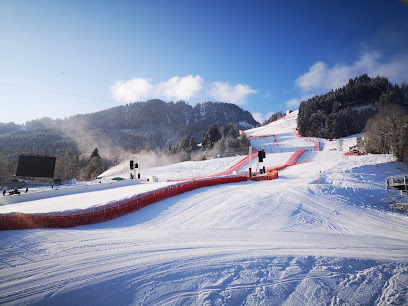 Hahnenkammrennen Ziel