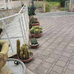 Photo n°10 de l'avis de Cristina.a fait le 26/09/2019 à 18:09 sur le  Hotel La Praia à Zambrone