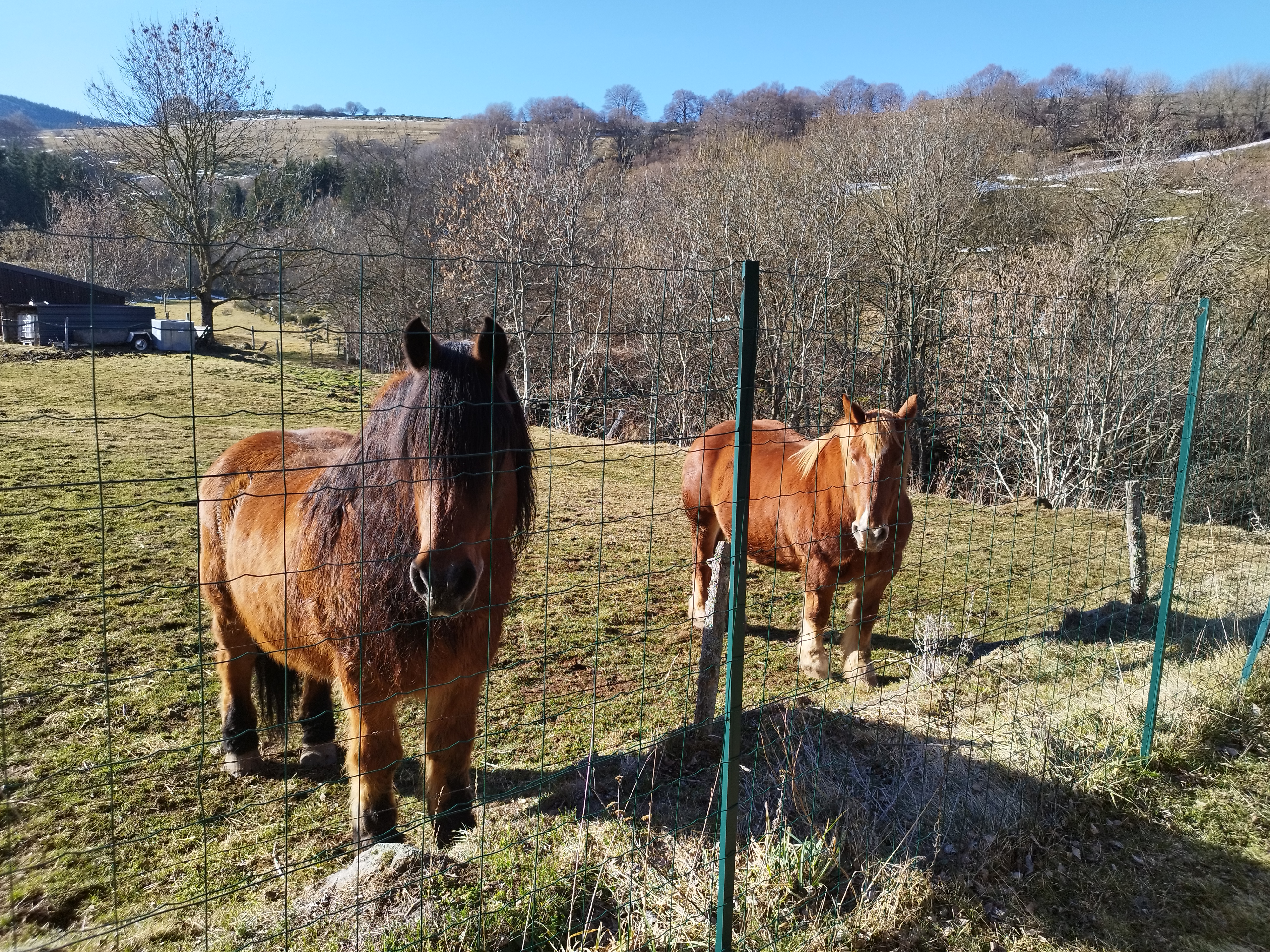 Photo n° 2 de l'avis de Thomas.r fait le 25/02/2023 à 18:27