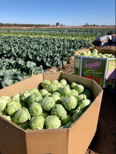 Food Bank «Yuma Community Food Bank», reviews and photos