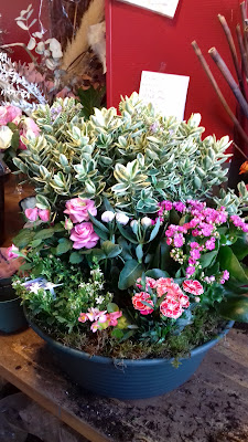 Aux bouquets d agathe à Duclair