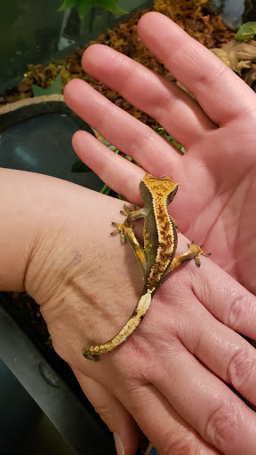 Pet Store «Critters Pet Shop», reviews and photos, Randall Rd, South Elgin, IL 60177, USA