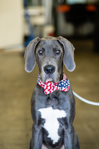 Auto Repair Shop «American Pride Automotive (Williamsburg)», reviews and photos, 5406 Airport Rd, Williamsburg, VA 23188, USA