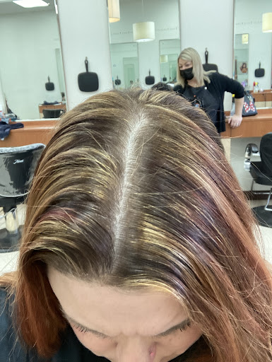 Hair Salon «Classic Elegance Hair Salon», reviews and photos, 515 Old Swede Rd, Douglassville, PA 19518, USA