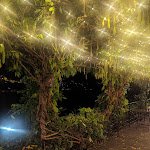 Photo n°5 de l'avis de Elizabeth.i fait le 17/09/2023 à 12:41 sur le  Relais Villa Vittoria Lake Como à Laglio