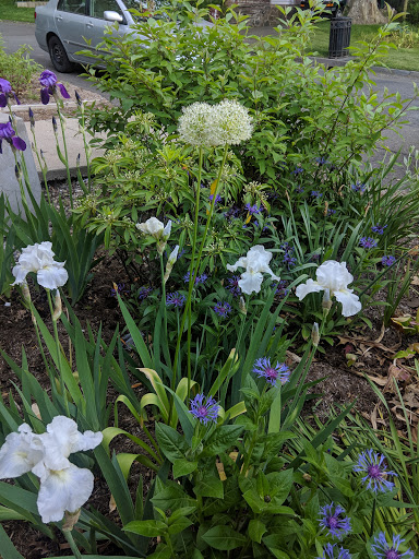 Park «Pardee Rose Gardens», reviews and photos, 180 Park Rd, Hamden, CT 06517, USA