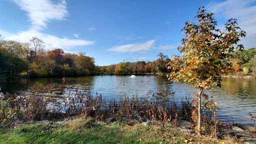 Park «Pascack Brook County Park», reviews and photos, 150 Emerson Rd, Westwood, NJ 07675, USA