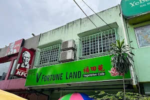V Fortune Land Vegetarian Cafe image