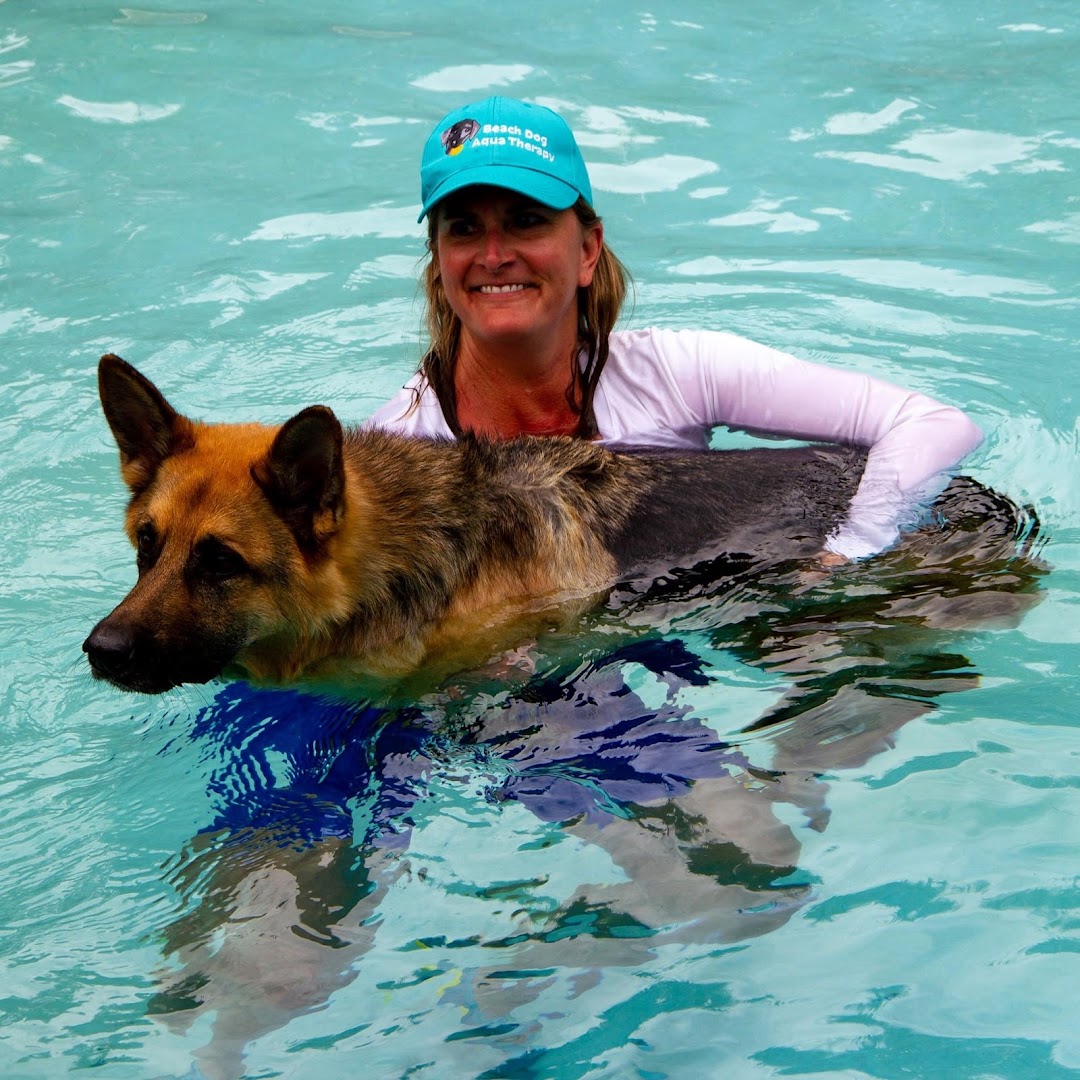 Beach Dog Aqua Therapy