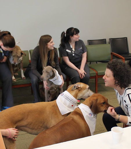 South Carolina Veterinary Specialists and Emergency Care image