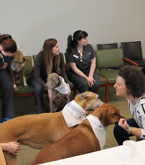 South Carolina Veterinary Specialists and Emergency Care