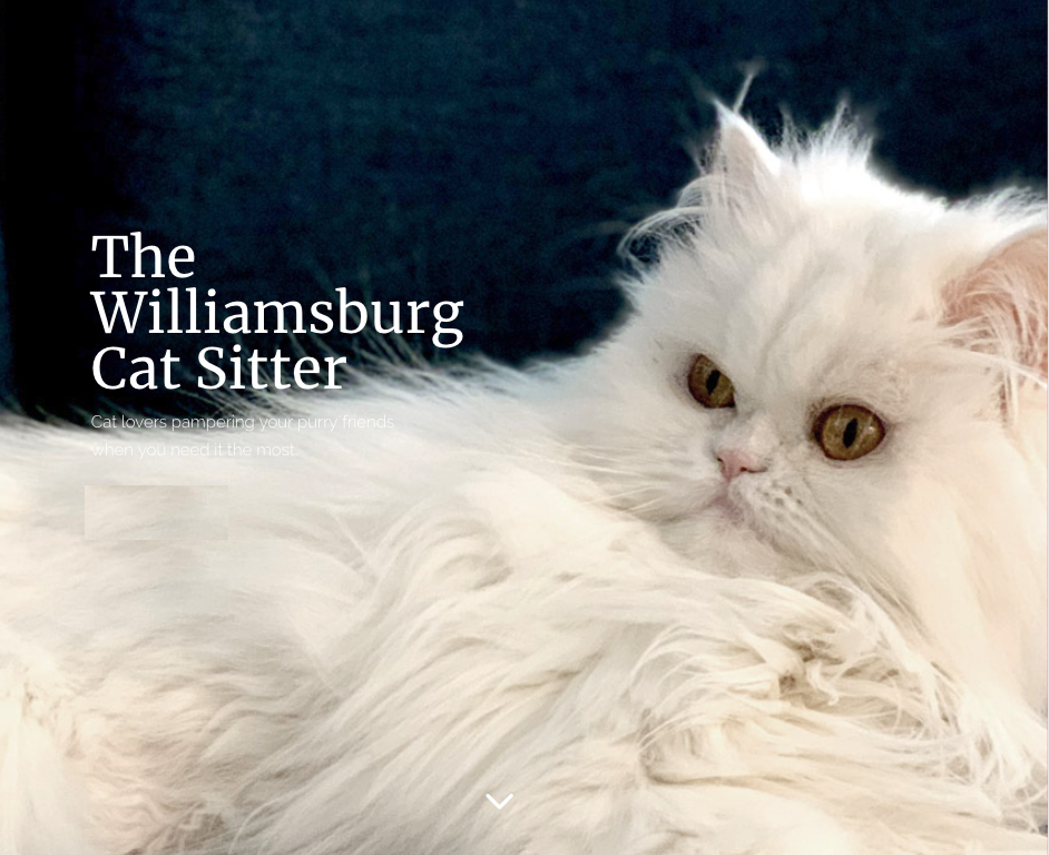 The Williamsburg Cat Sitter