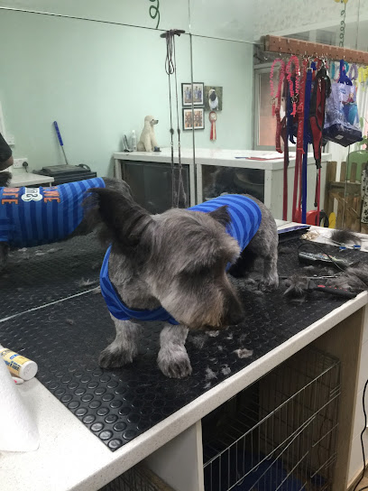 The Clip Joint Dog and Cat Grooming Centre