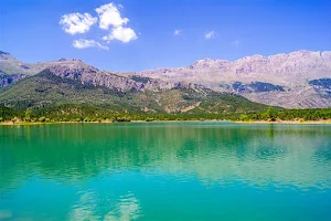 Tarasçı Sulama Pond image