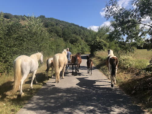 La Loubière ardeche à Ruoms