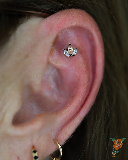 Explore arm tattoo sleeve ideas, creative tattoo ideas in San Diego, available at Rose Body Piercing