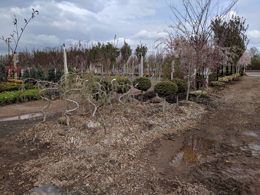 Lawn Mower Store «Central Jersey Nurseries Mower», reviews and photos, 18 Hamilton Rd, Hillsborough Township, NJ 08844, USA