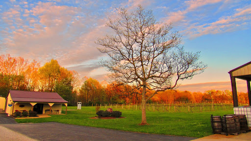 Winery «Wight Vineyards & Winery», reviews and photos, 340 Meyer Dr, Shepherdsville, KY 40165, USA