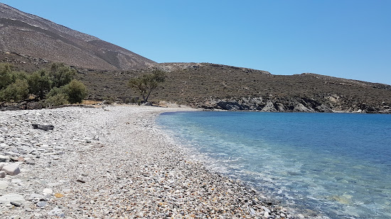 Lia beach
