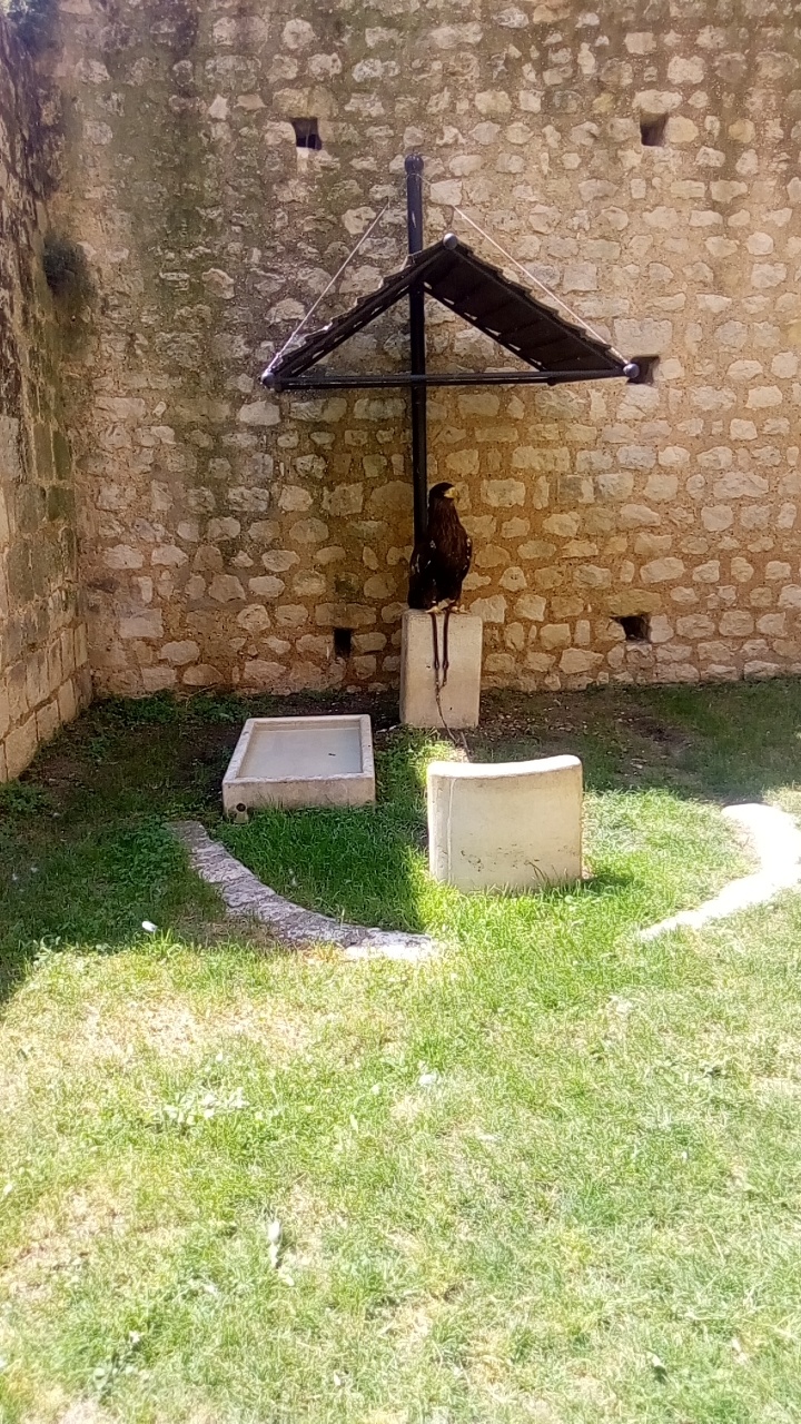 Photo n° 2 de l'avis de Emilie.e fait le 07/07/2019 à 10:34
