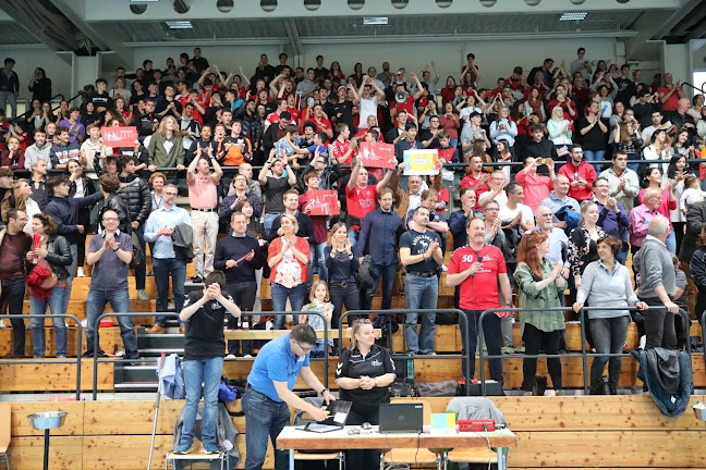 Rezensionen über Chênois Genève Handball in Genf - Sportstätte