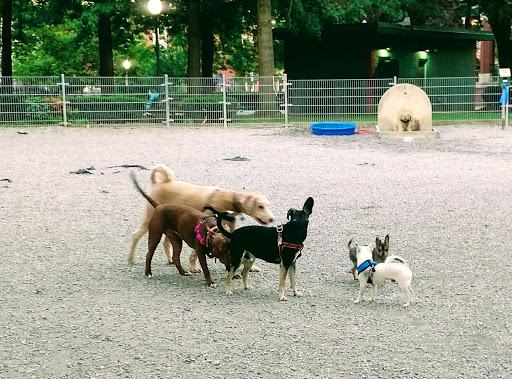 Dog Park «Church Square Park Dog Park», reviews and photos, 401-449 Willow Ave, Hoboken, NJ 07030, USA