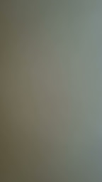 Photo n°41 de JOYEAU MICHEL à Dolus-d'Oléron ()