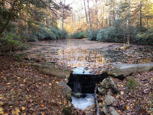 Park «Hart`s Brook Park and Preserve», reviews and photos, 156 Ridge Rd, Hartsdale, NY 10530, USA