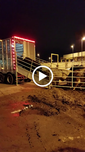 Convention Center «Fargodome», reviews and photos, 1800 N University Dr, Fargo, ND 58102, USA