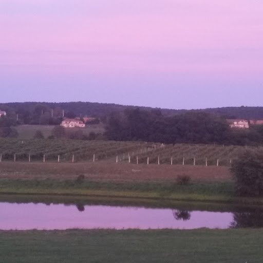 Winery «Gouveia Vineyards», reviews and photos, 1339 Whirlwind Hill Rd, Wallingford, CT 06492, USA