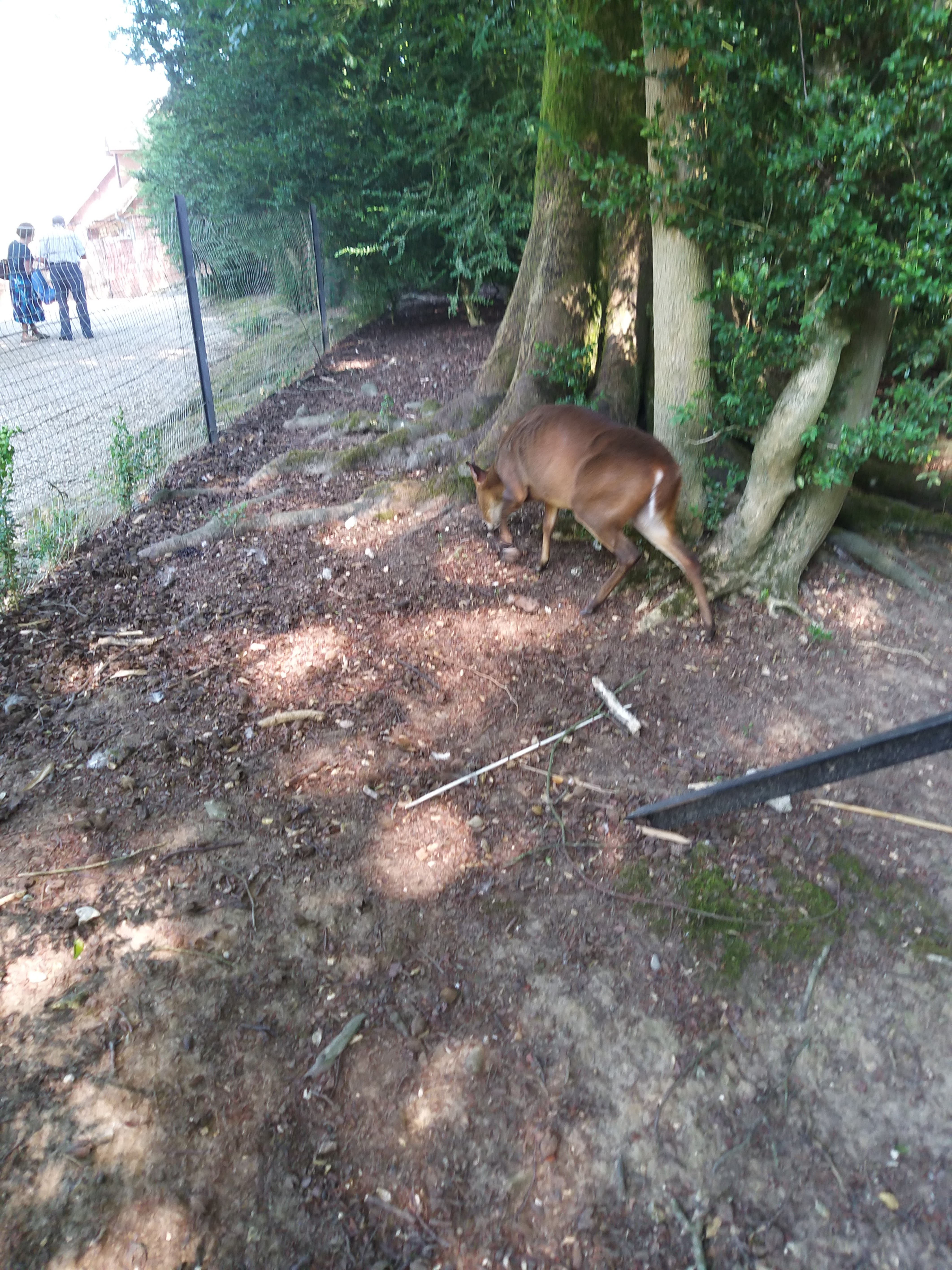 Photo n° 12 de l'avis de Angelique.a fait le 25/08/2019 à 15:14