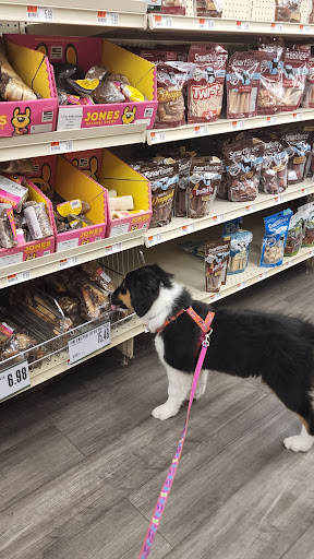 Pet Supply Store «Pet Supplies Plus», reviews and photos, 283 Middle Turnpike W, Manchester, CT 06040, USA