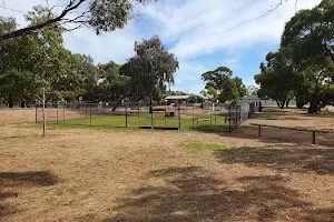 Golding Oval Dog Park image