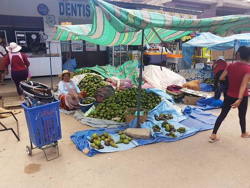 Mercado Campesino apostol santiago
