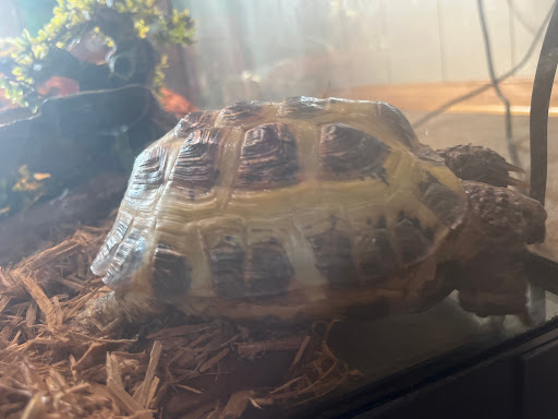 Pet Supply Store «Petco Animal Supplies», reviews and photos, 1215-1309 NJ-33 #1, Hamilton Township, NJ 08690, USA