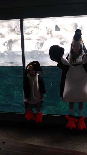 Zoo «Pueblo Zoo», reviews and photos, 3455 Nuckolls Ave, Pueblo, CO 81005, USA