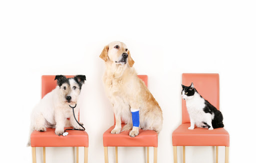 Hamilton Region Emergency Veterinary Clinic image