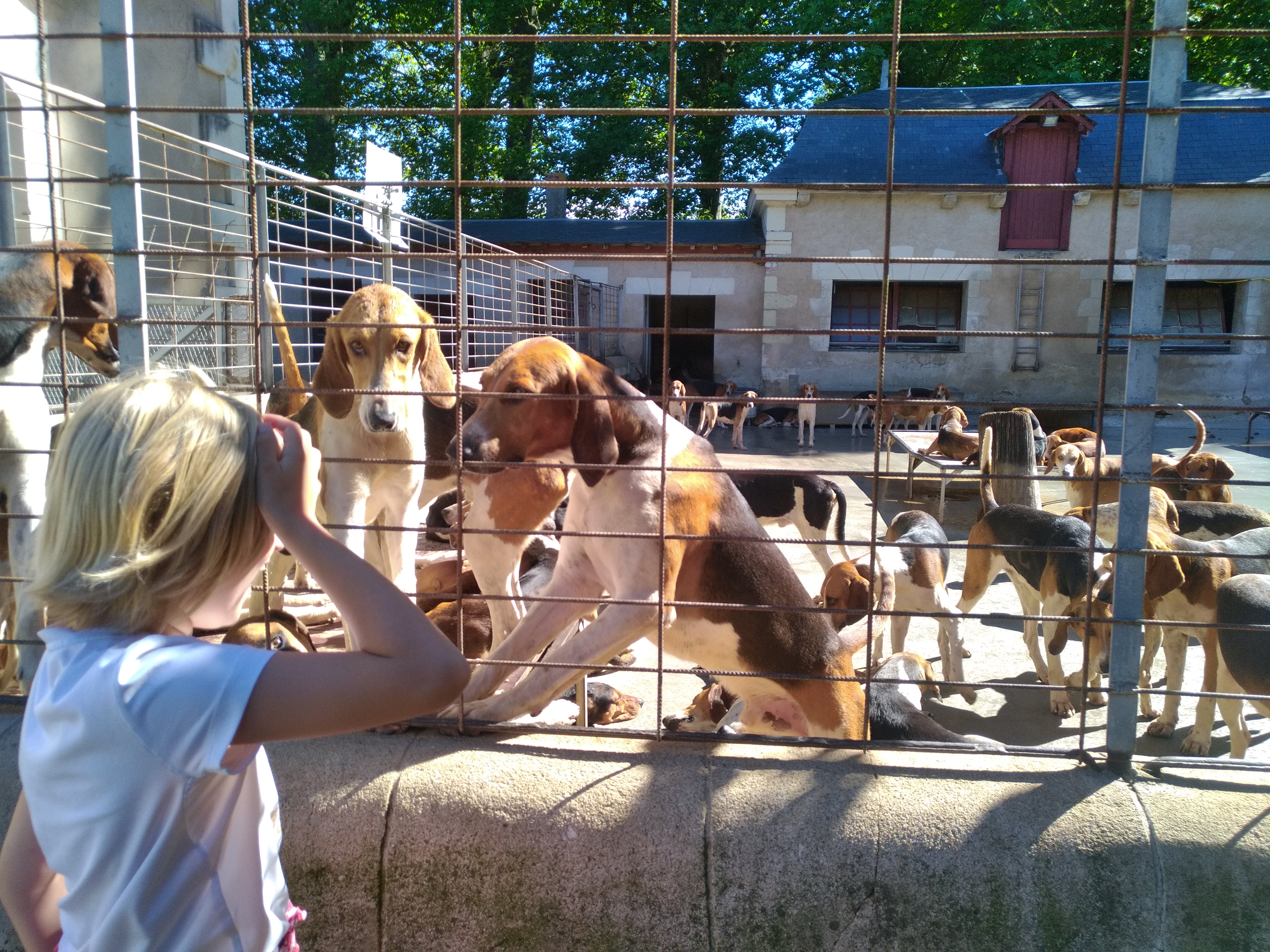Photo n° 1 de l'avis de Frédéric.a fait le 24/08/2022 à 10:43