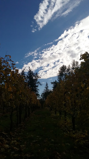 Winery «Hanson Vineyards», reviews and photos, 34948 S Barlow Rd, Woodburn, OR 97071, USA