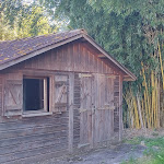 Photo n° 3 de l'avis de Daniel.a fait le 01/10/2023 à 06:31 pour La Bambouseraie Joan Brisson à Matha