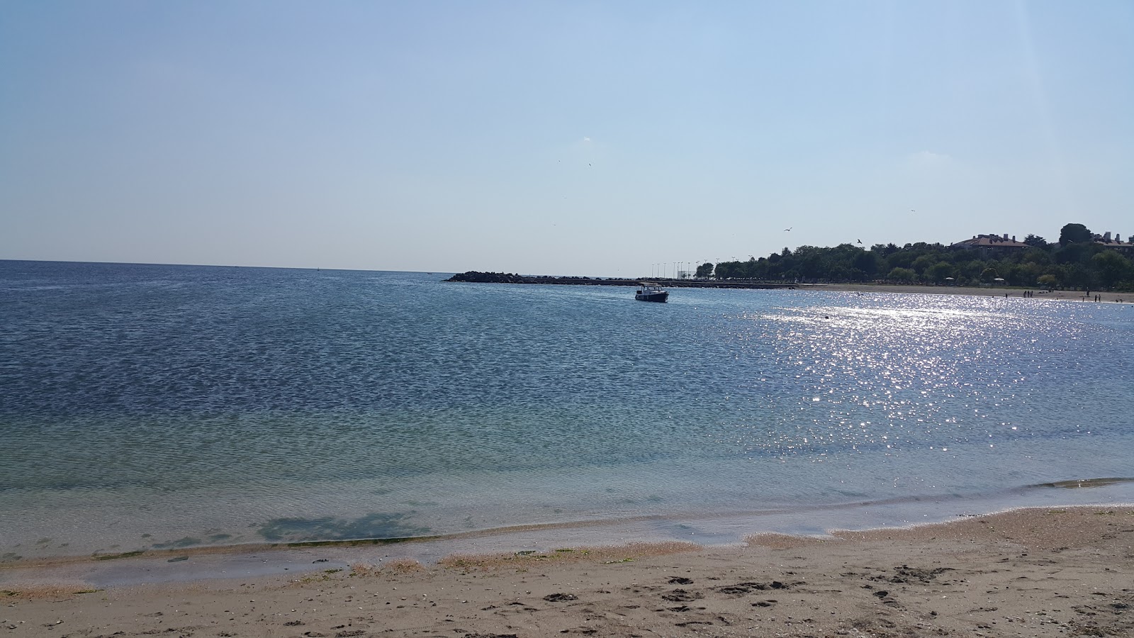 Φωτογραφία του Bakirkoy beach με επίπεδο καθαριότητας εν μέρει καθαρό
