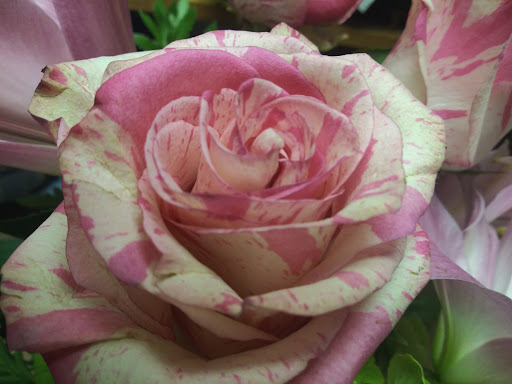 Florist «Barnes House Of Flowers», reviews and photos, 866 N Colony Rd, Wallingford, CT 06492, USA