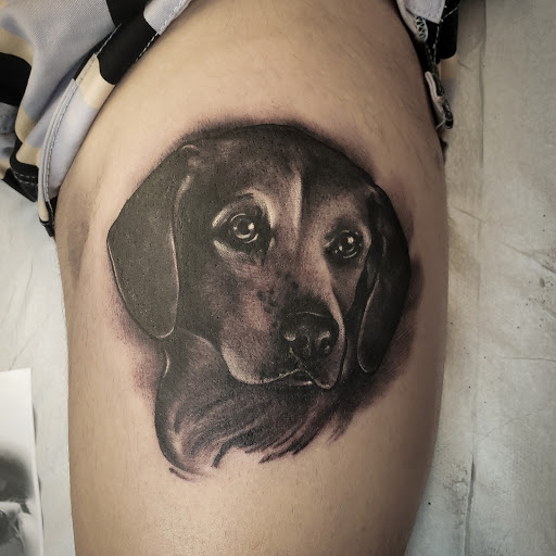 Tattoo Shop «NiteOwl Tattoo Northwest», reviews and photos, 7318 Evergreen Way Suite 104, Everett, WA 98203, USA