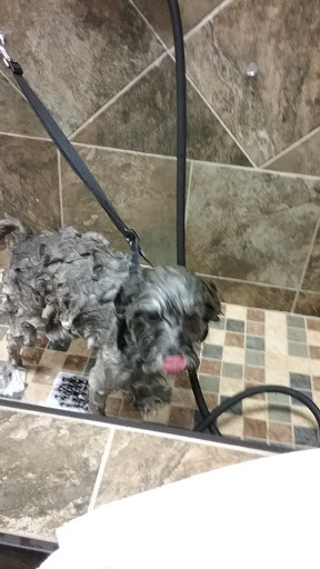 Pet Supply Store «Pet Valu», reviews and photos, 1611 Boston Post Rd, Milford, CT 06460, USA