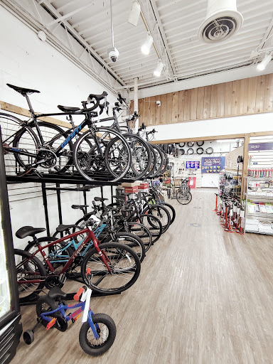 Bicycle Store «Richardson Bike Mart - Dallas», reviews and photos, 9040 Garland Rd, Dallas, TX 75218, USA