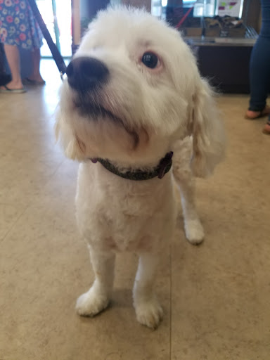 Pet Supply Store «Unleashed by Petco», reviews and photos, 4821 Lankershim Blvd, North Hollywood, CA 91601, USA